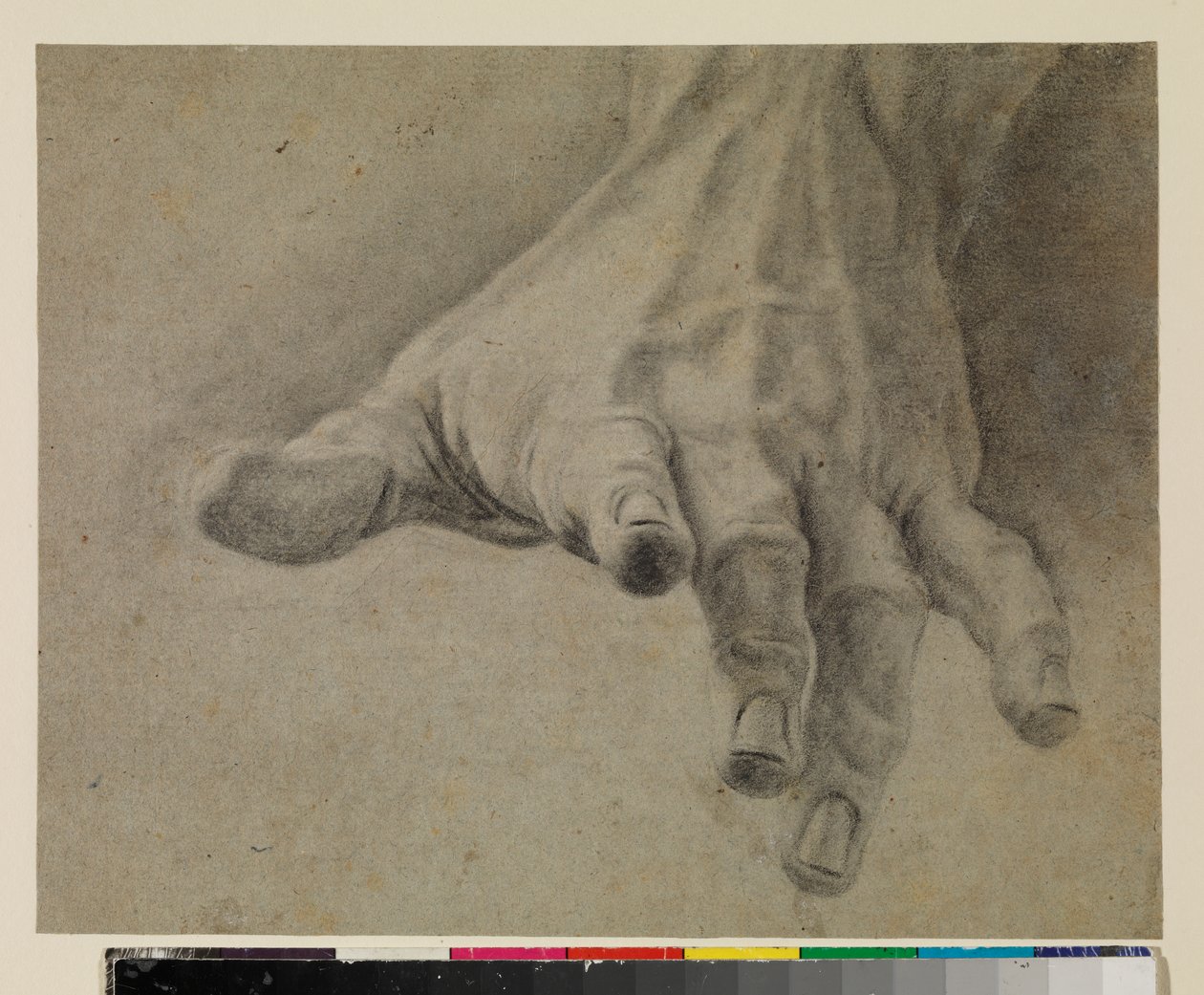 Studie av en vänsterhand, 1700-tal av Spanish School