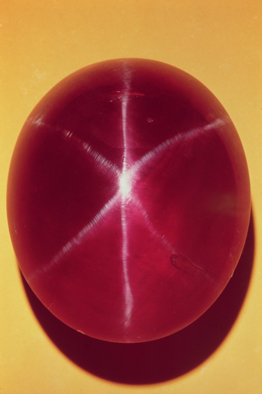 The Rosser Reeves Star Ruby (ruby) av Sri Lankan School