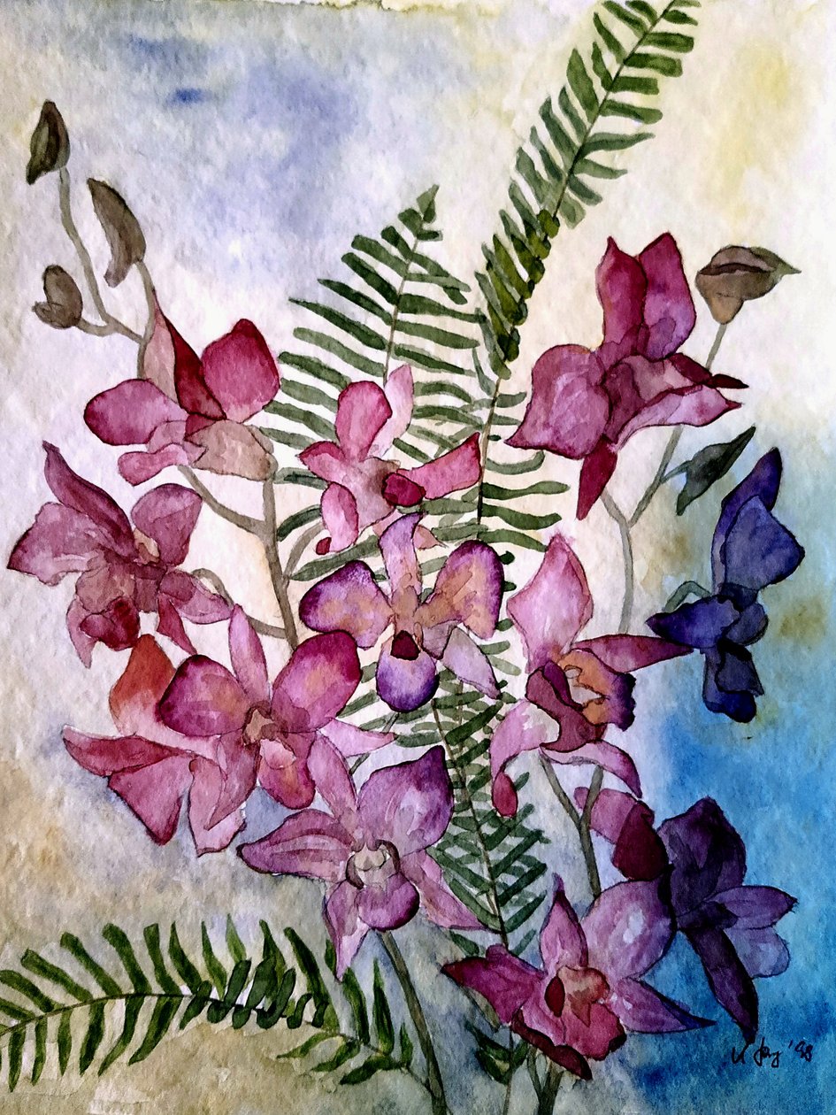 Orkidéer av Steegs Art Karin