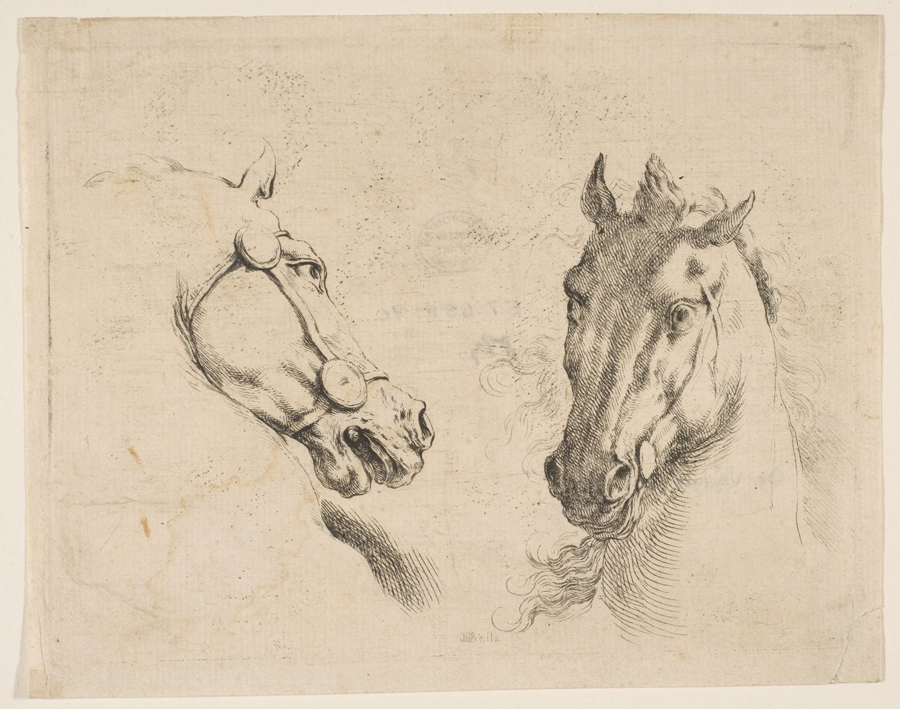 Två hästhuvuden, ca. 1649. av Stefano della Bella