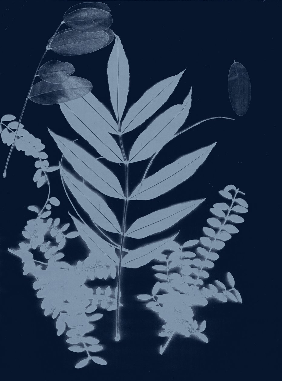 Cyan Foliage 01, 2017 (digital) av Stephen Dow