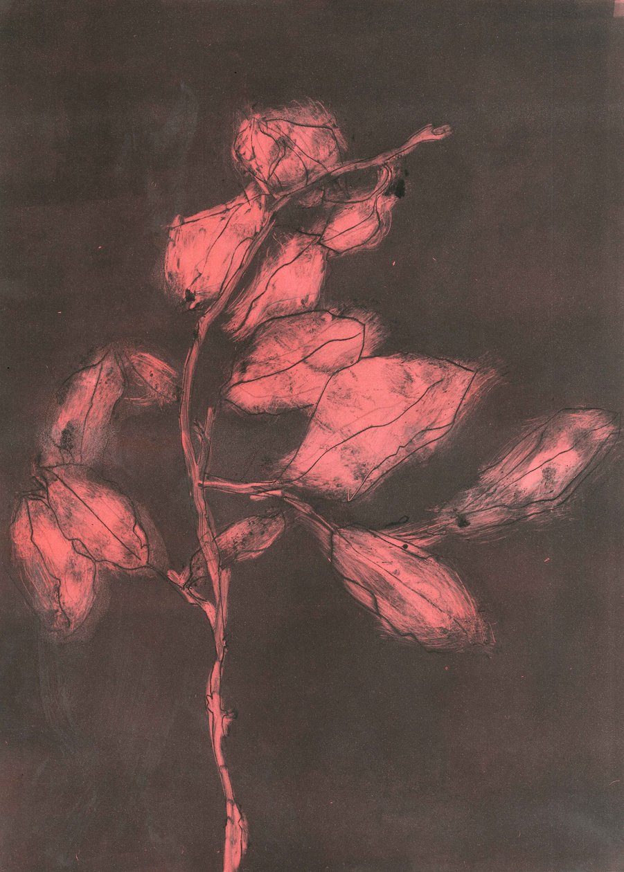 Foliage I, 2015 (monoprint på papper) av Stephen Dow