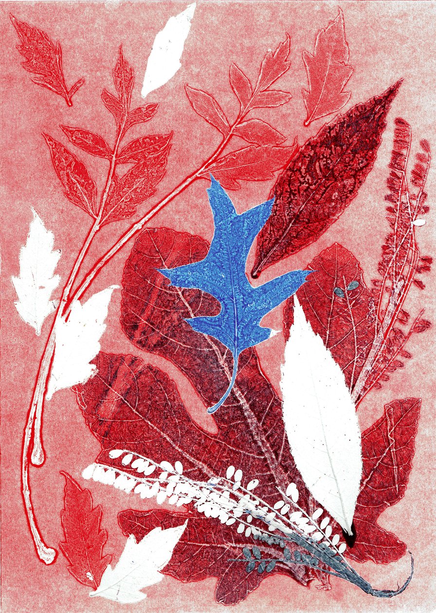 Jol III, 2017 (monoprint på papper) av Stephen Dow