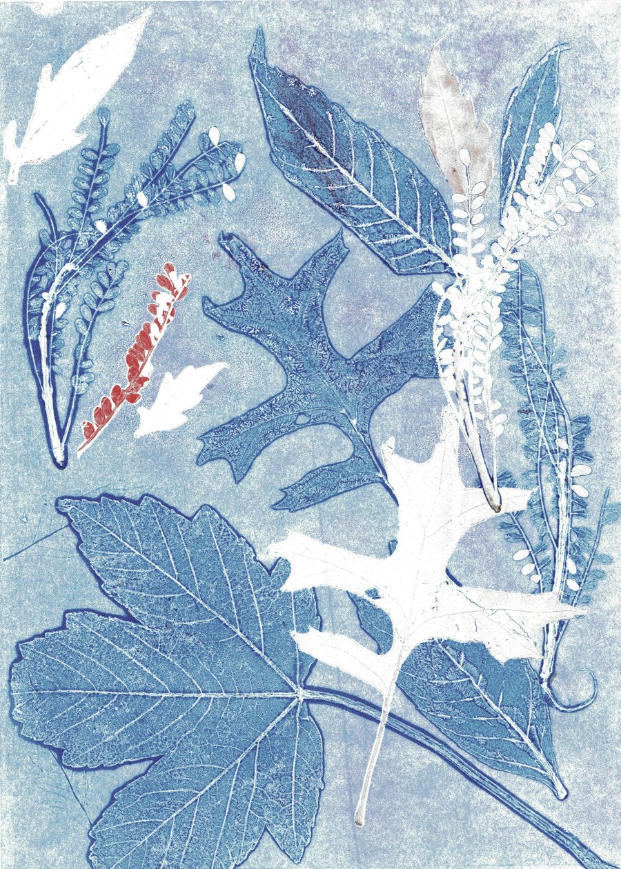 Jol II, 2017 (monoprint på papper) av Stephen Dow