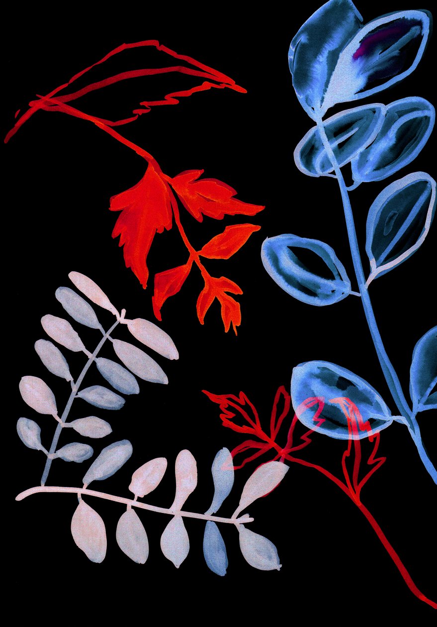 Nattflora IV, 2018 (digital) av Stephen Dow