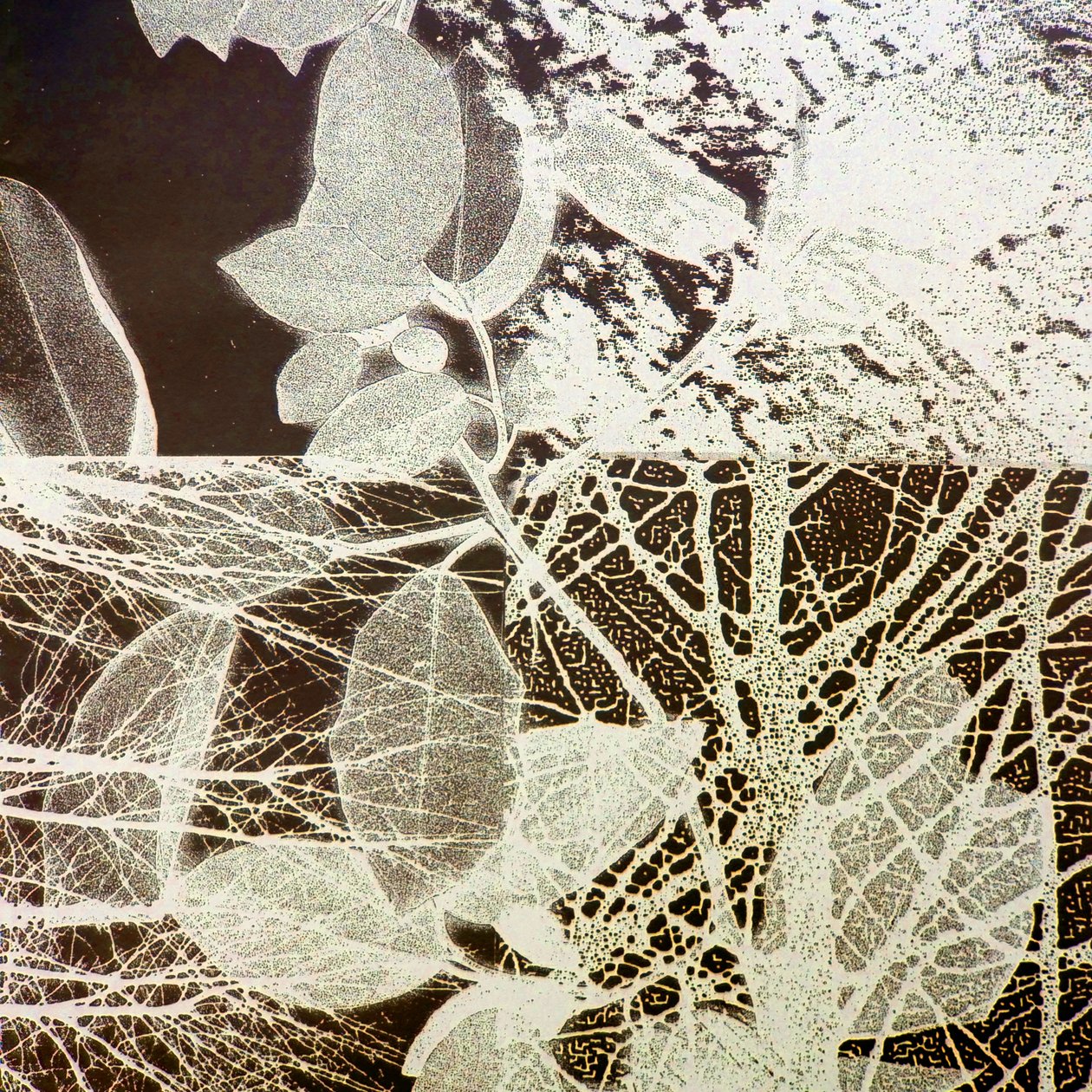 Nattskog, 2018 (digital) av Stephen Dow
