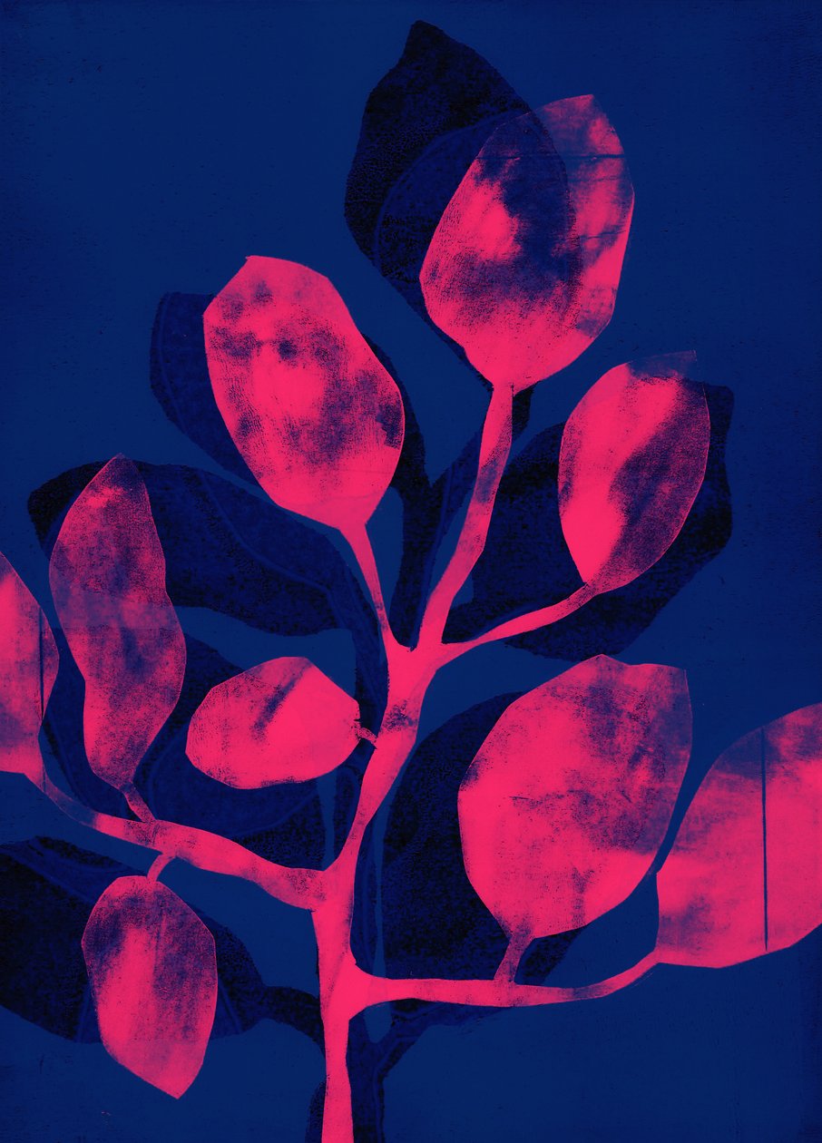 Summer Garden III rosa, 2018 (digital) av Stephen Dow