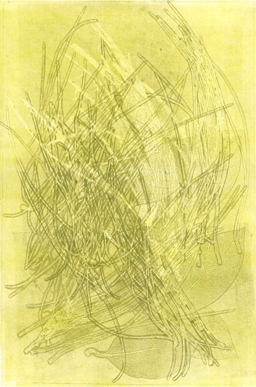 Summer Garden V, 2015 (monoprint på papper) av Stephen Dow