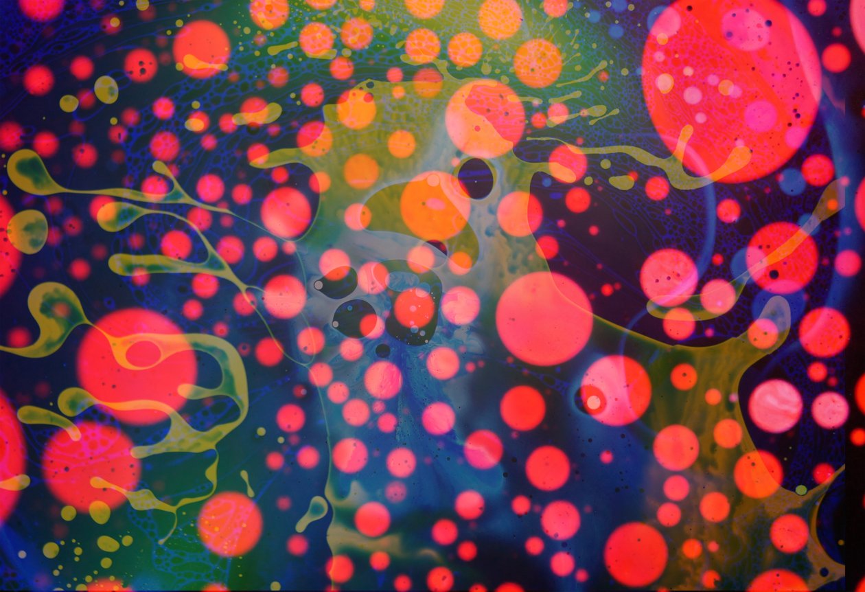 Splatter Monster, 2024 av Steve Pavlovsky