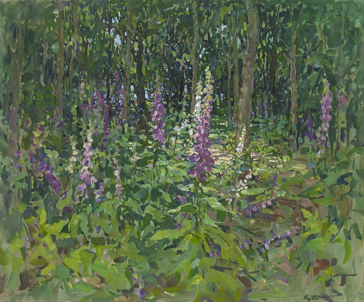 Foxgloves av Susan Ryder