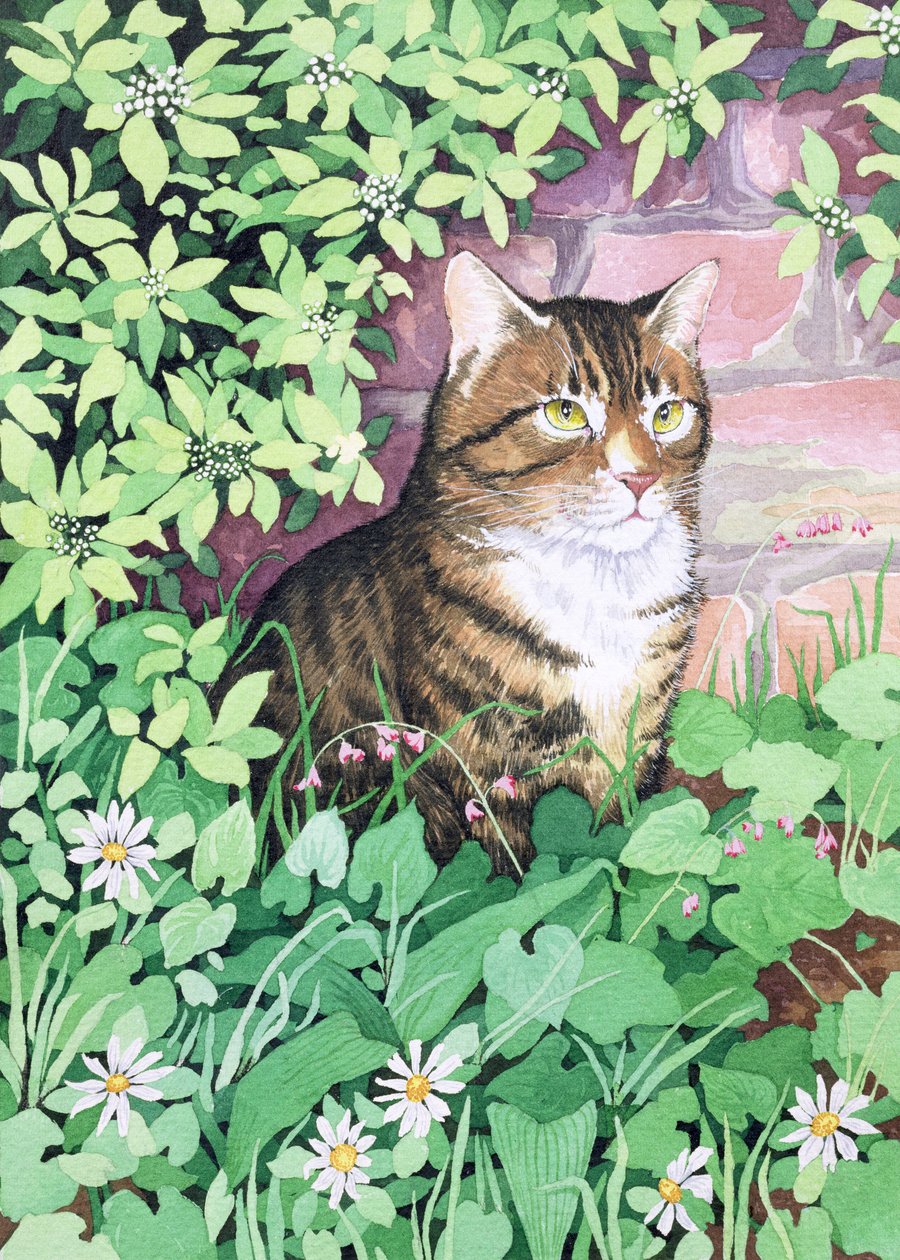 Jackies Cat (trädgårdsdesign) av Suzanne Bailey