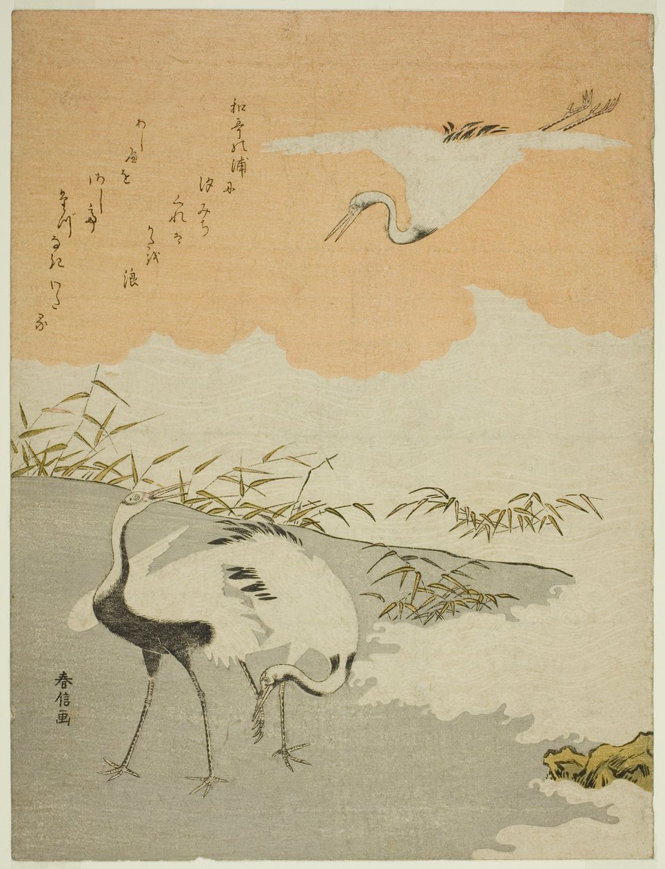 Tranor vid havet av Suzuki Harunobu