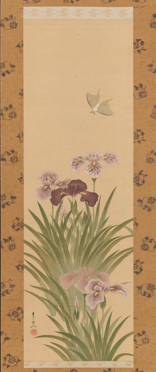 Iris och mal, ca. 1850. av Suzuki Kiitsu