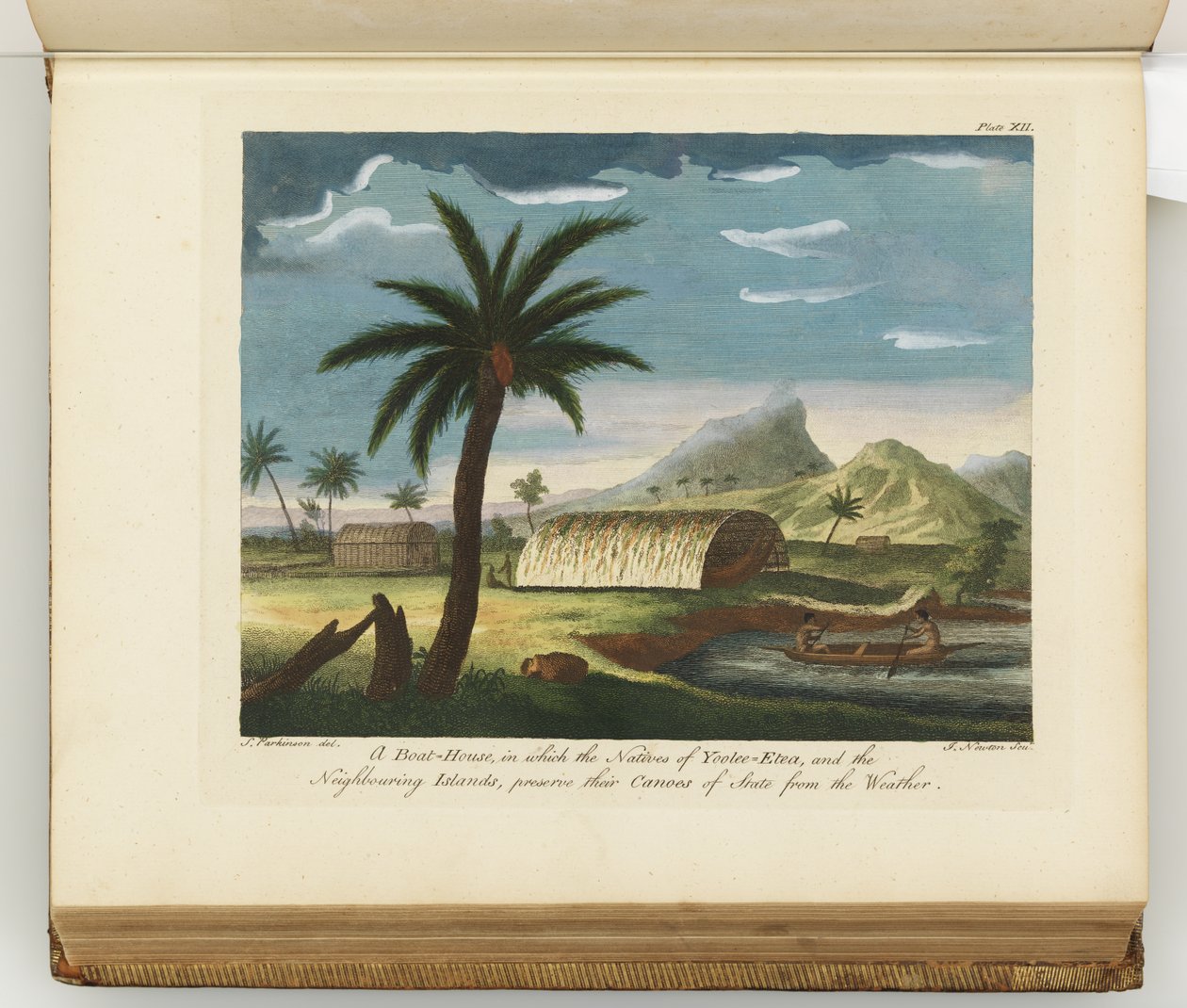 Illustration från A journal of a voyage to the South Seas: in His Majestys ship, the Endeavour, 1794 (handkolorerad gravyr) av Sydney