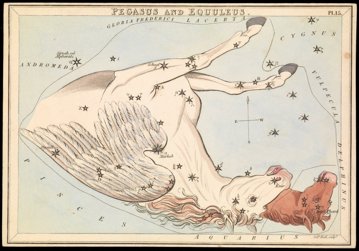 Pegasus och Equuleus, ca 1825 (kort, papper, vävnad) av Sydney Hall