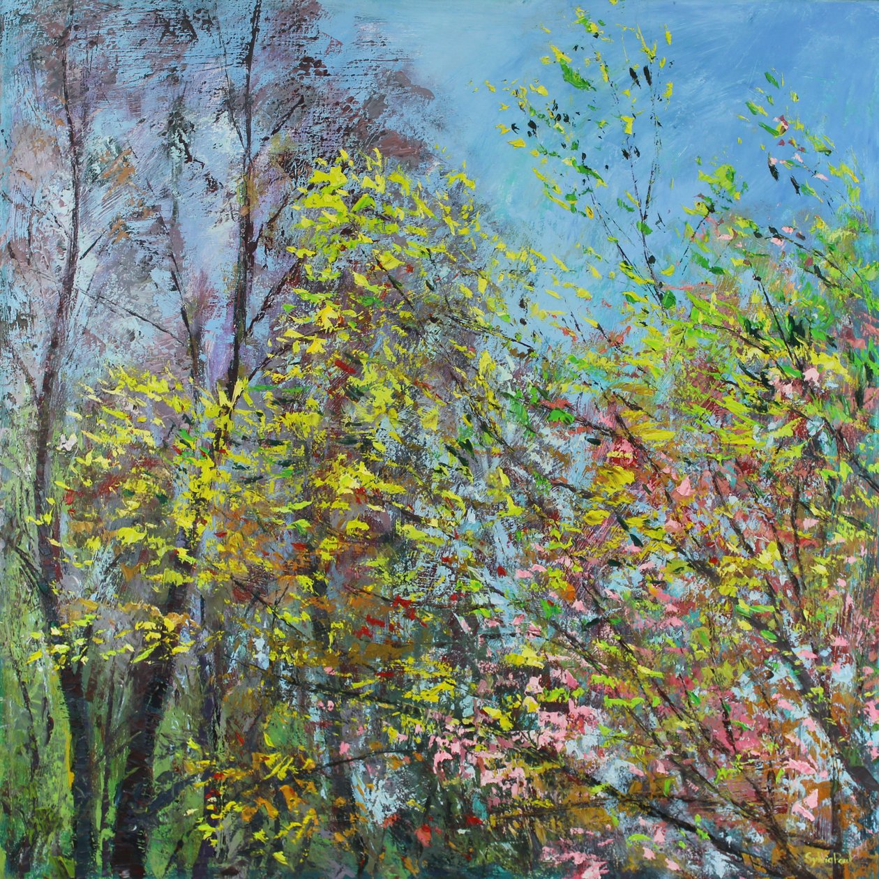 Vårens ömtåliga blad av Sylvia Paul