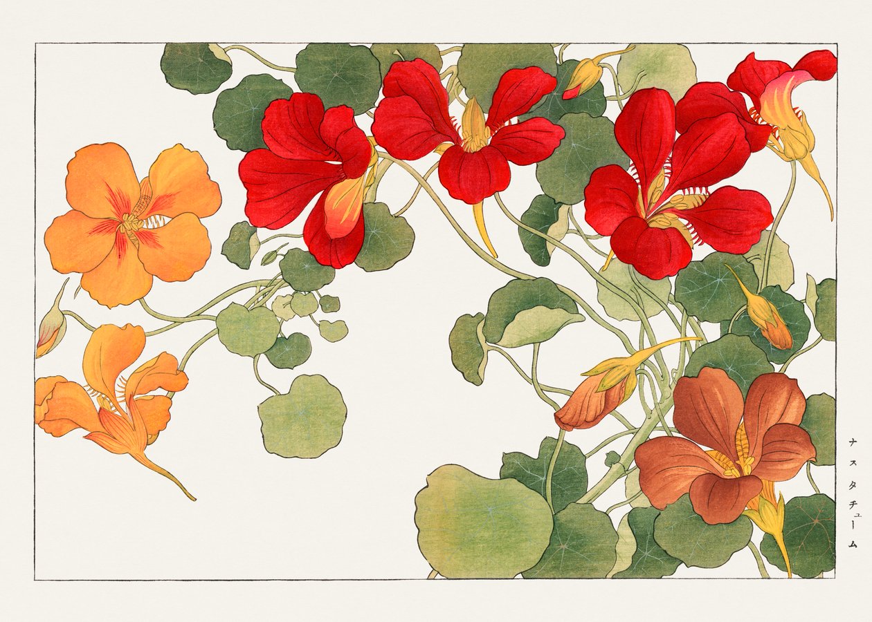 Krasseblomma från "Seiyou Sokazufu" av Tanigami Konan