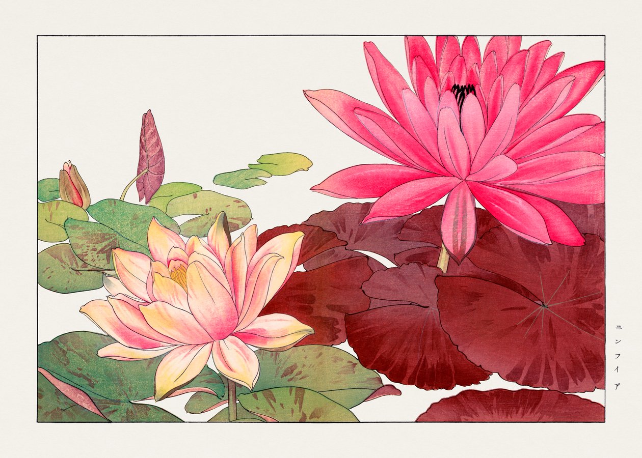 Nymphaea lotus från "Seiyou Sokazufu av Tanigami Konan