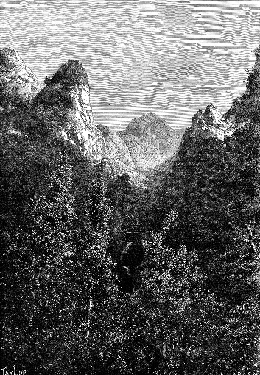 Madeira, Portugal, 1895. av Taylor
