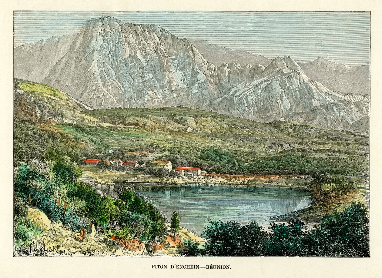 Piton d Enchen, Reunion, c1880. av Taylor