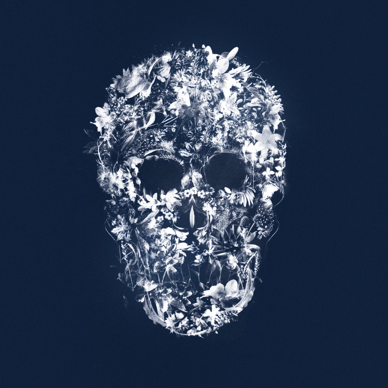 FloralSkull, 2018 (blandade media på duk) av Teis Albers