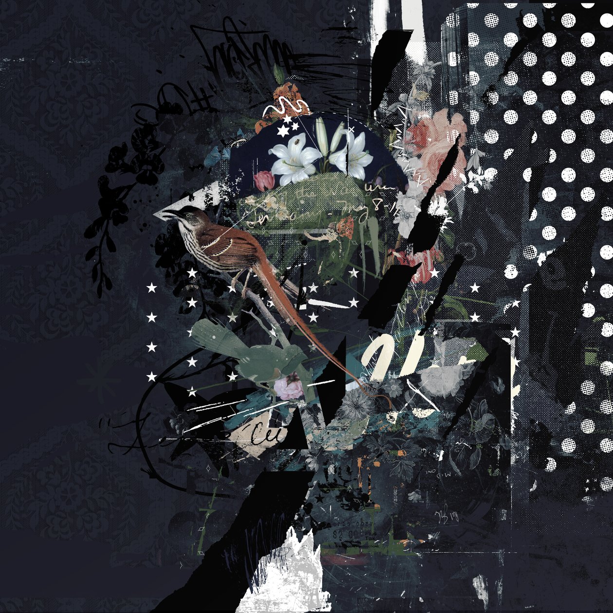Floralbirds, 2017 (Collage på duk) av Teis Albers