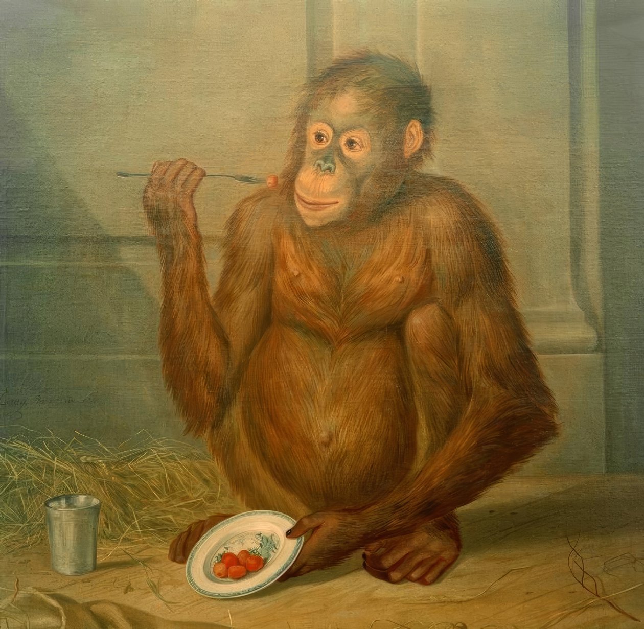 Orangutang, äter jordgubbar av Tethart Philipp Christian Haag