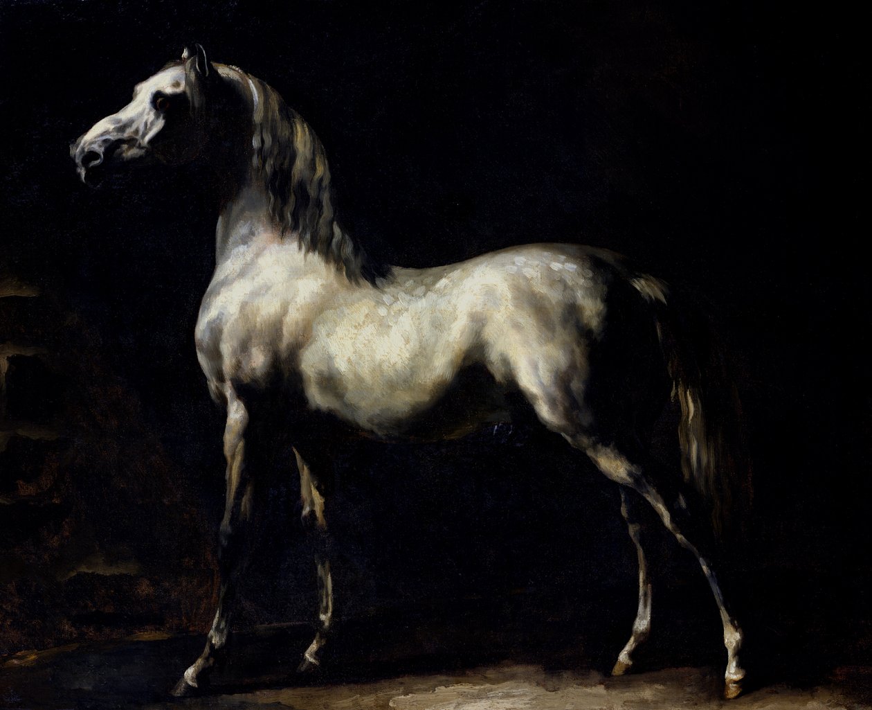 Studie av en Dapple Grey av Theodore Gericault