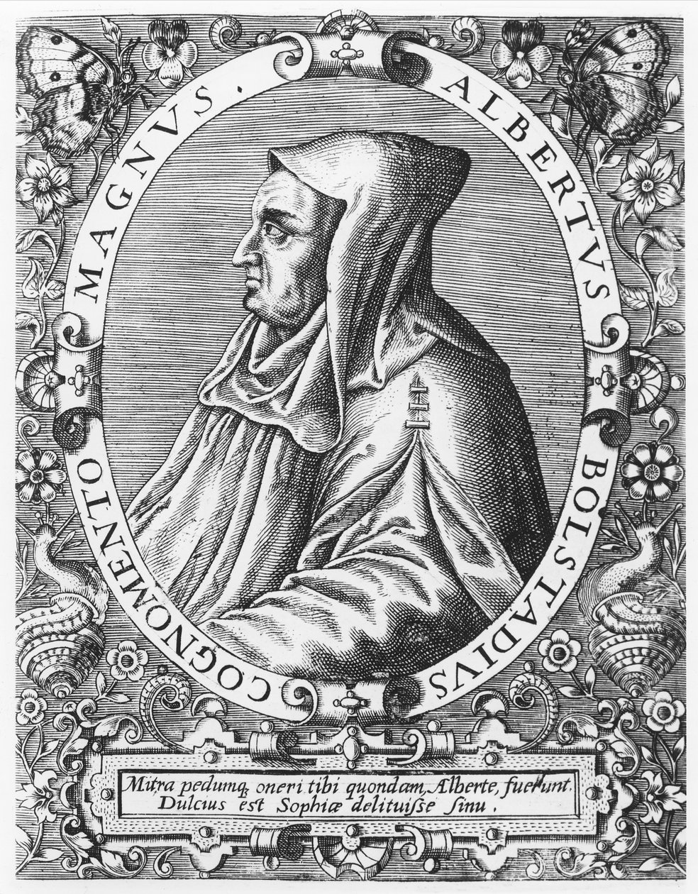 Albertus Magnus av Theodore de Bry