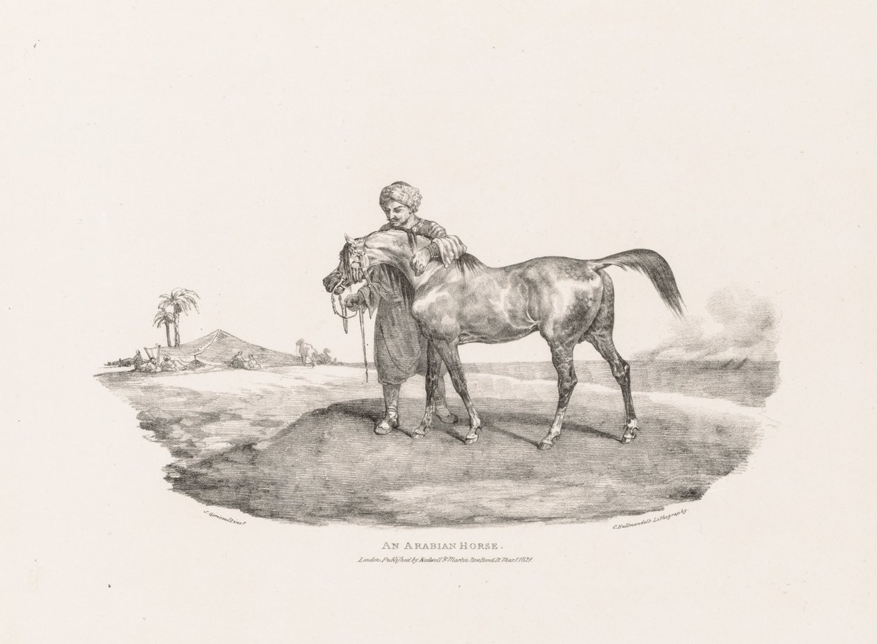 En arabhäst av Theodore Gericault