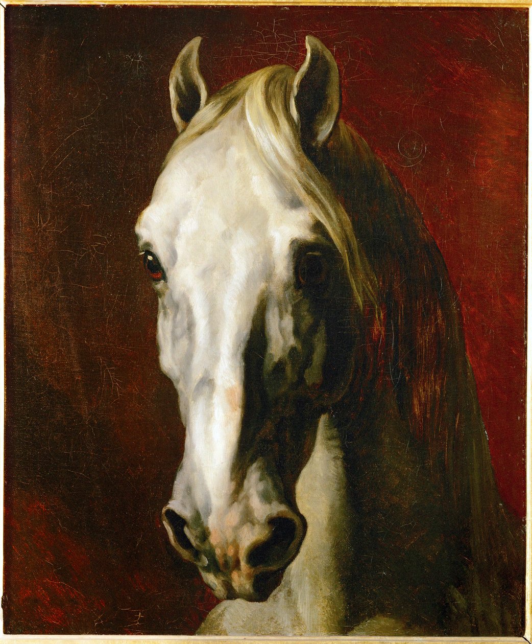 Huvudet av en vit häst ... av Theodore Gericault