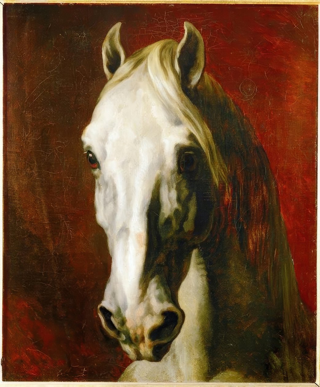 Huvudet av en vit häst av Theodore Gericault