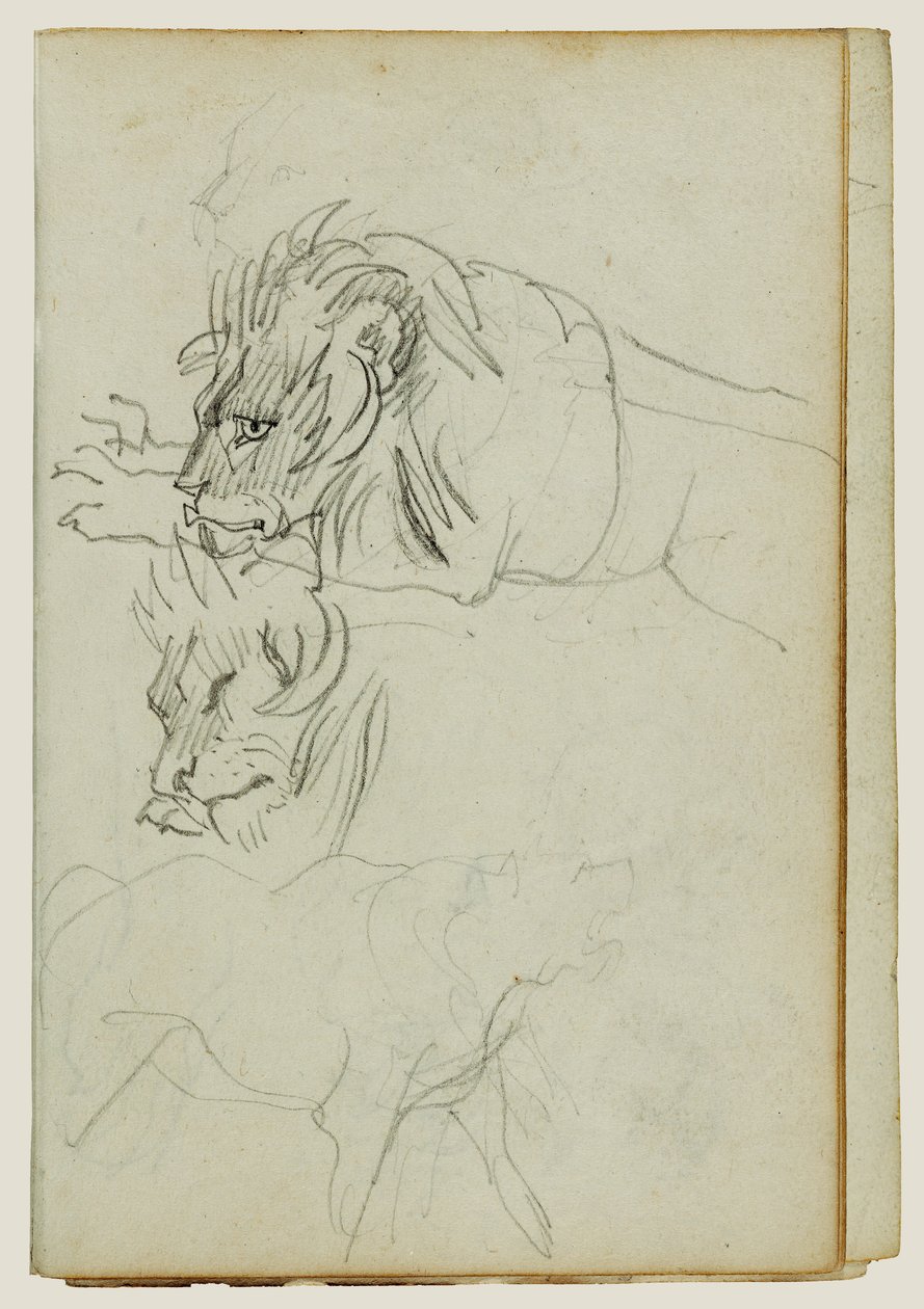 Tre lejonstudier av Theodore Gericault