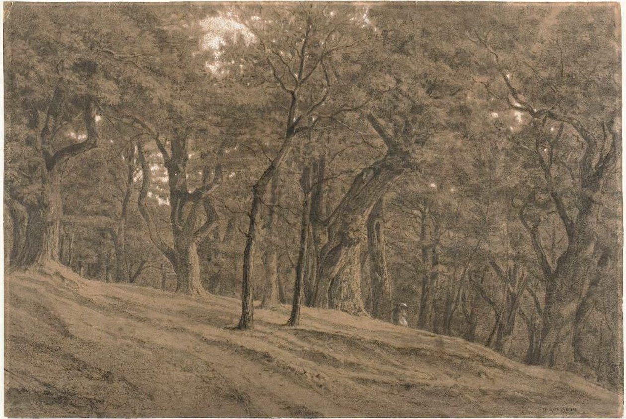 I Fontainbleaus skog av Theodore Rousseau