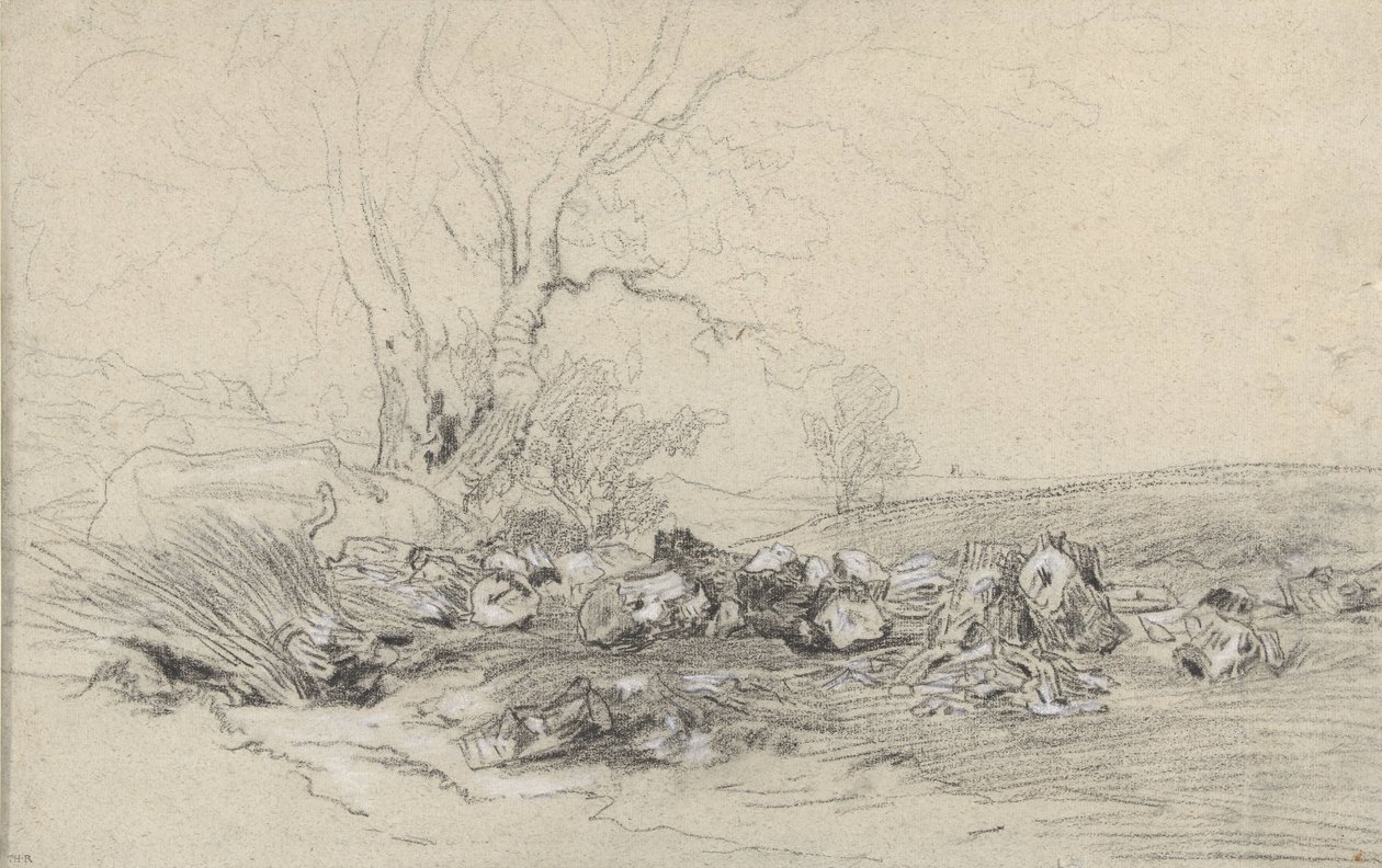 fällda träd av Theodore Rousseau