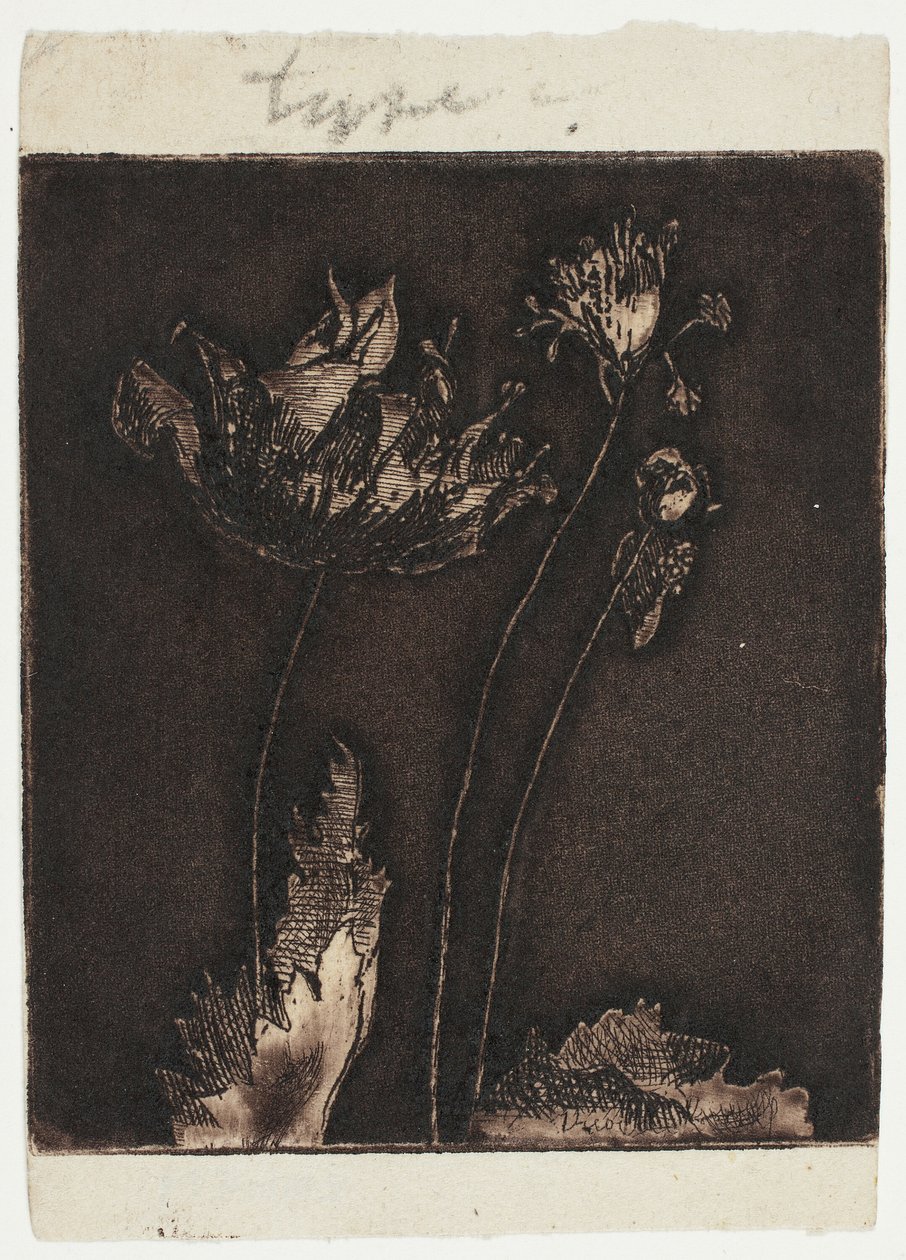 Sista vallmo av Theodore Roussel