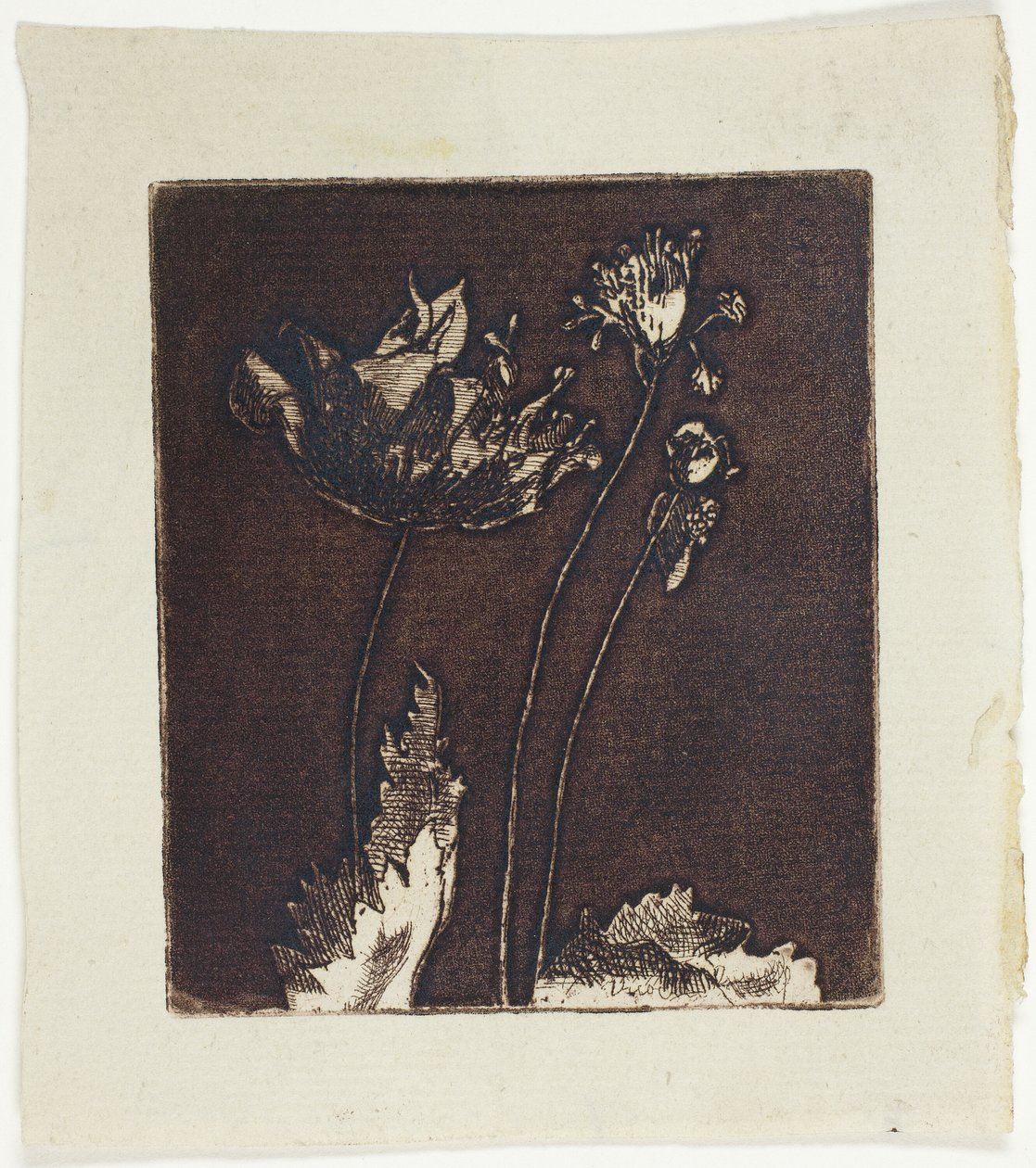 Sista vallmo av Theodore Roussel