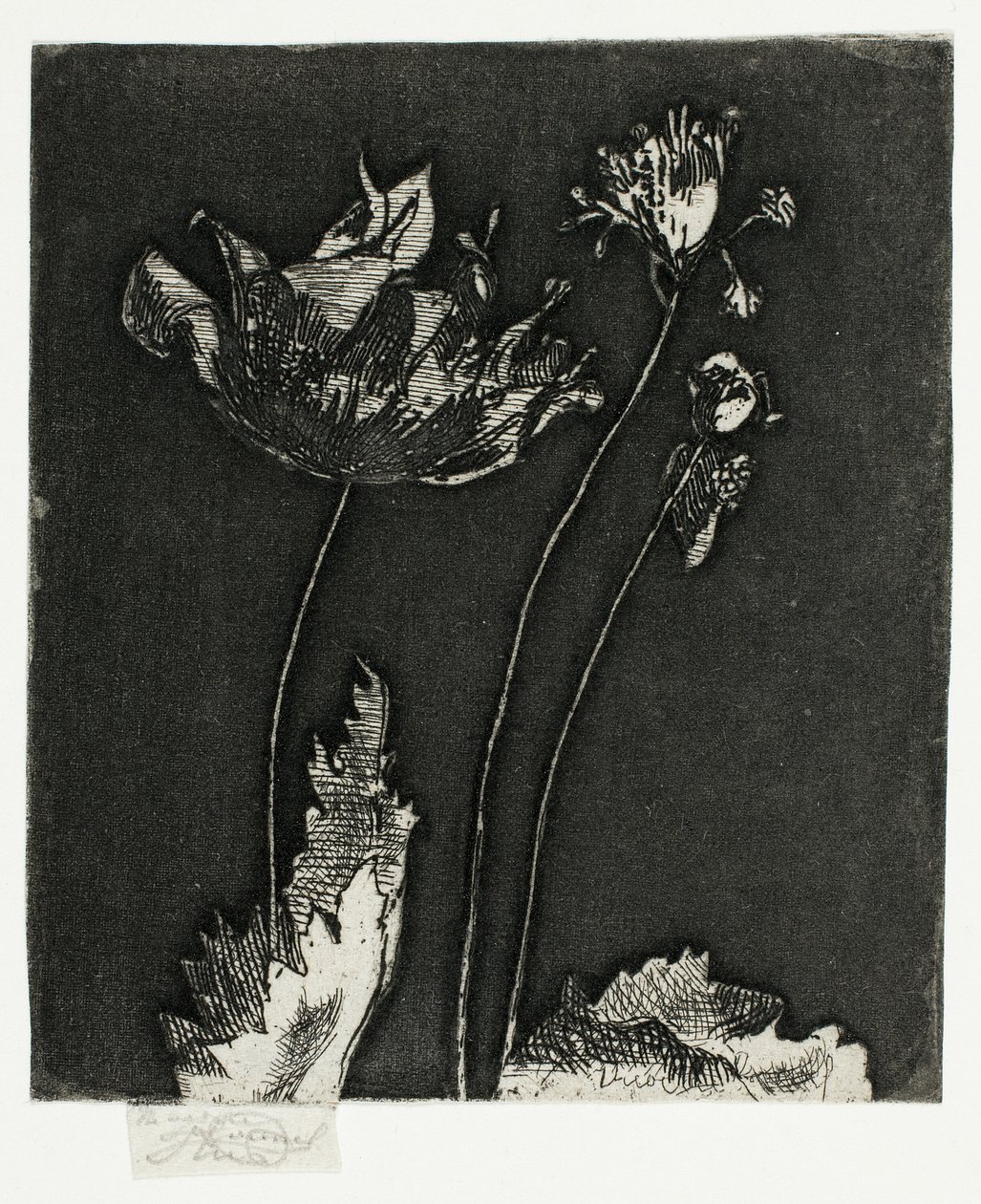 Sista vallmo av Theodore Roussel