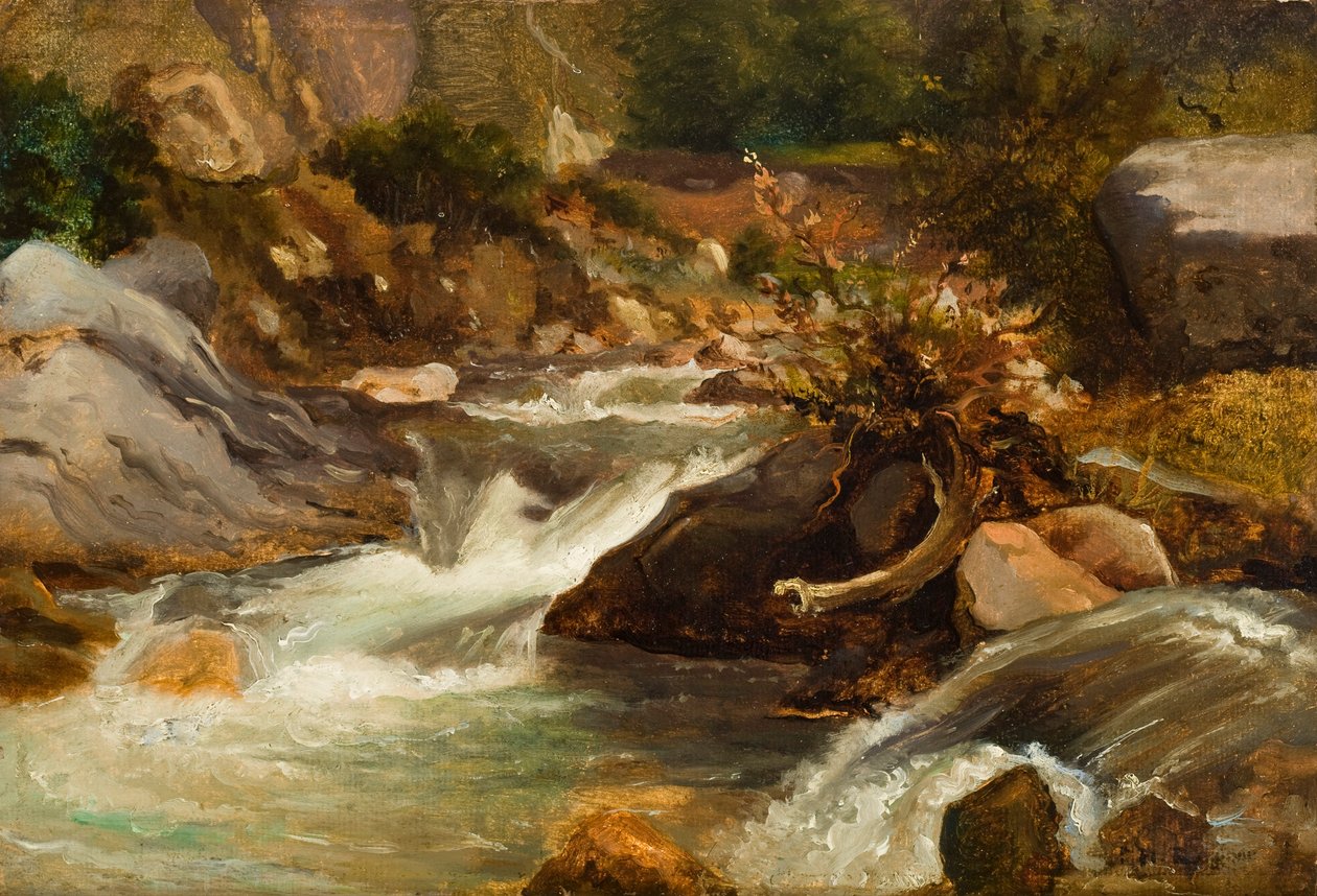 Landskapsstudie (La Source) c.1830 (olja på papper monterad på panel) av Pierre Etienne Theodore Rousseau