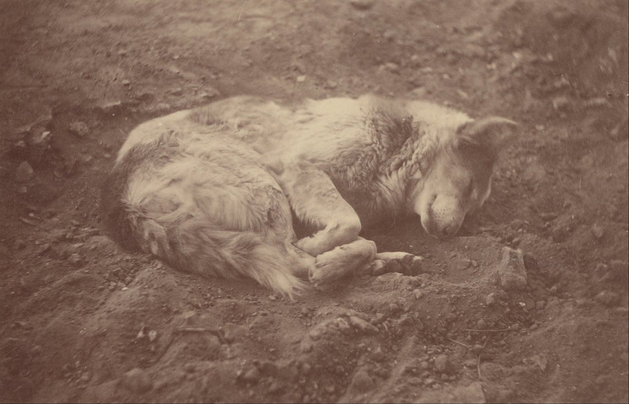 (Sovande hund) av Théodule Devéria