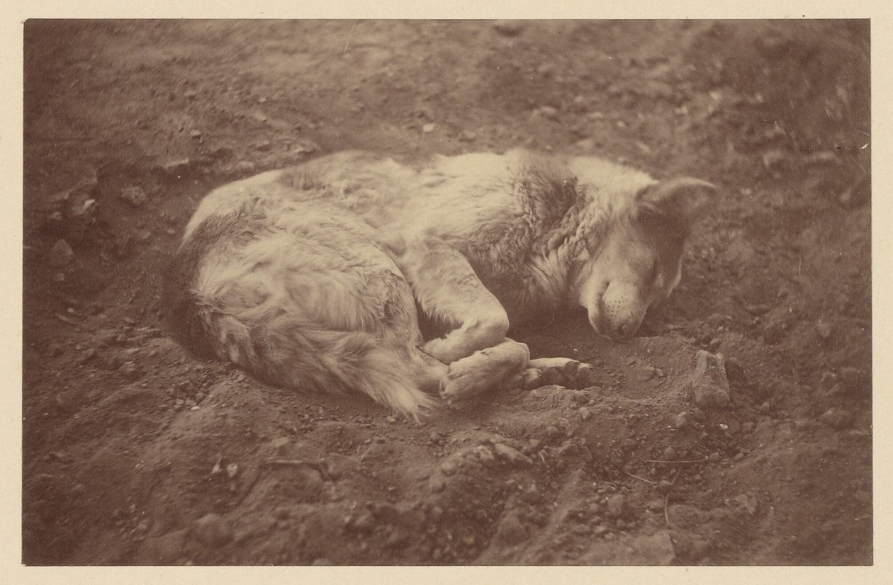 [Sleeping Dog] av Théodule Devéria
