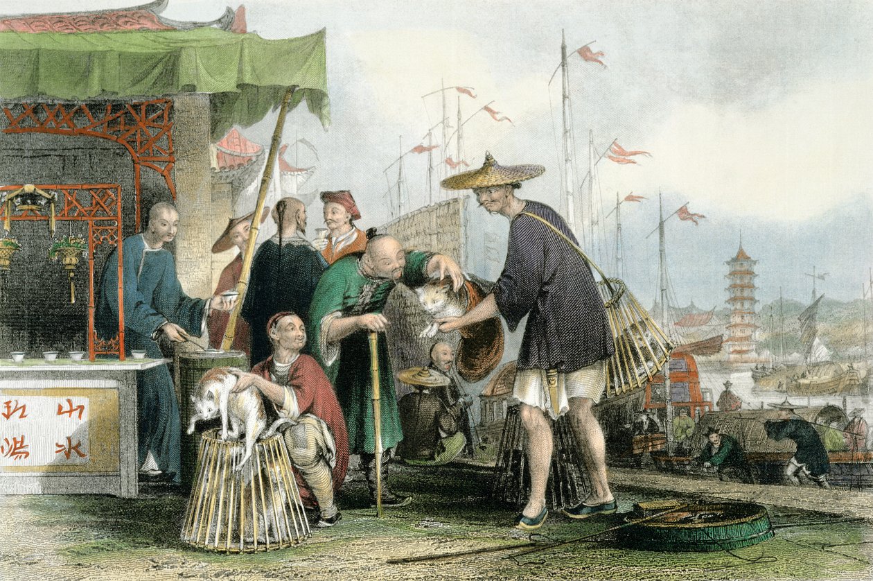 Kinesiska katthandlare, från "China in a Series of Views" av George Newenham Wright (ca 1790-1877) 1843 av Thomas Allom
