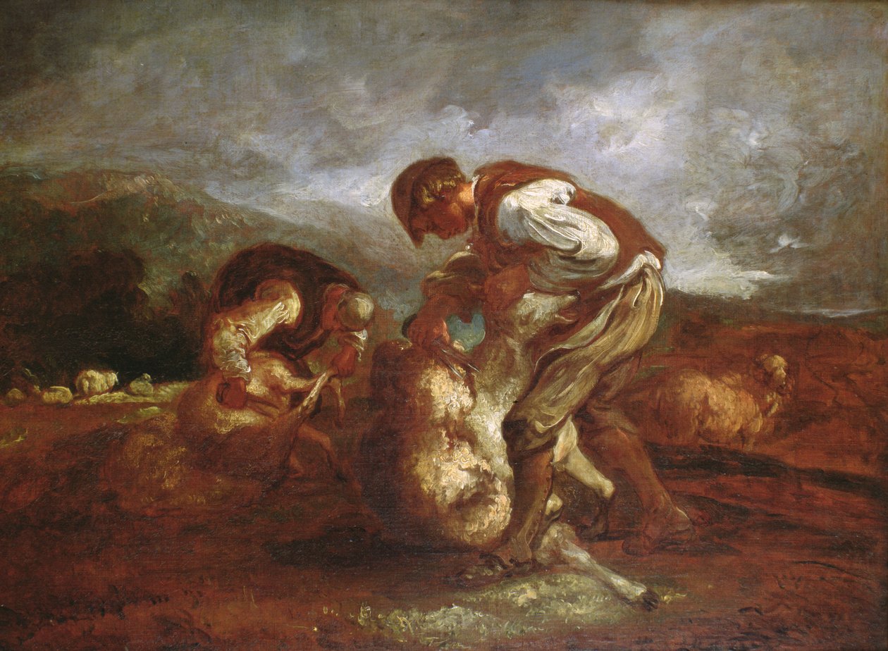 Klippning av får av Thomas Barker of Bath