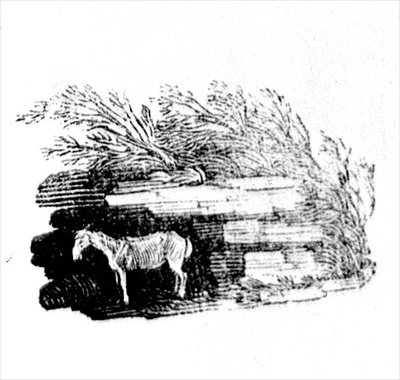 En åsna från History of British Birds and Quadrupeds av Thomas Bewick
