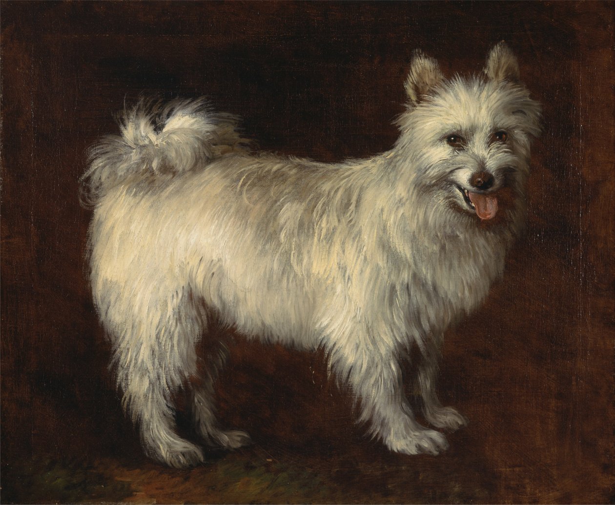 Spitz hund av Thomas Gainsborough
