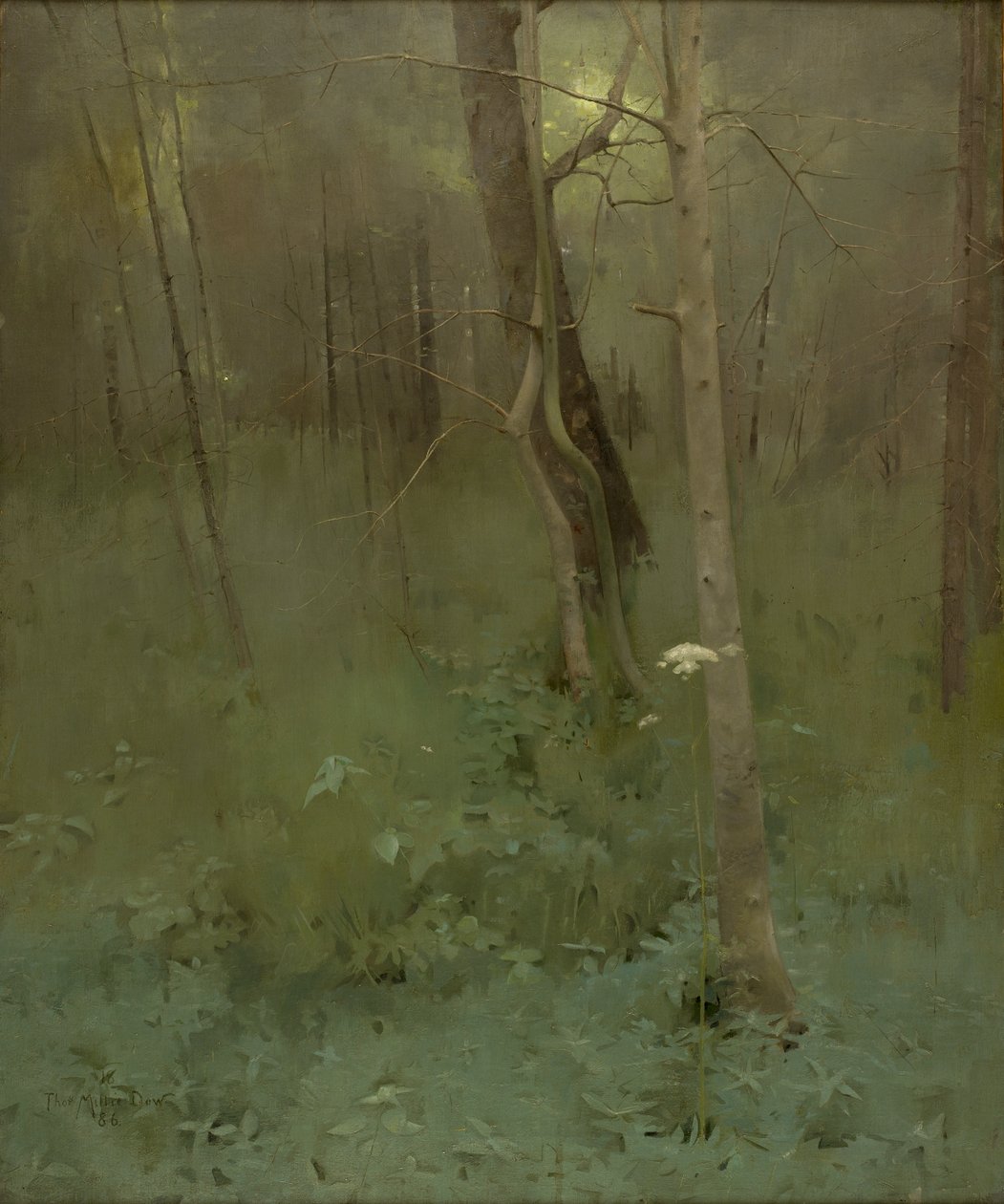 Träd, 1886 av Thomas Millie Dow