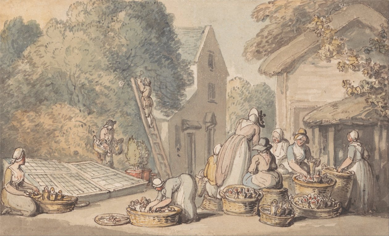 Picking Mulberries av Thomas Rowlandson