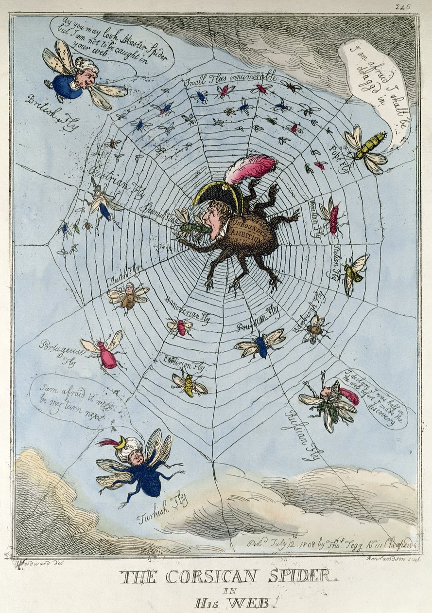 Den korsikanska spindeln i sitt nät av Thomas Rowlandson