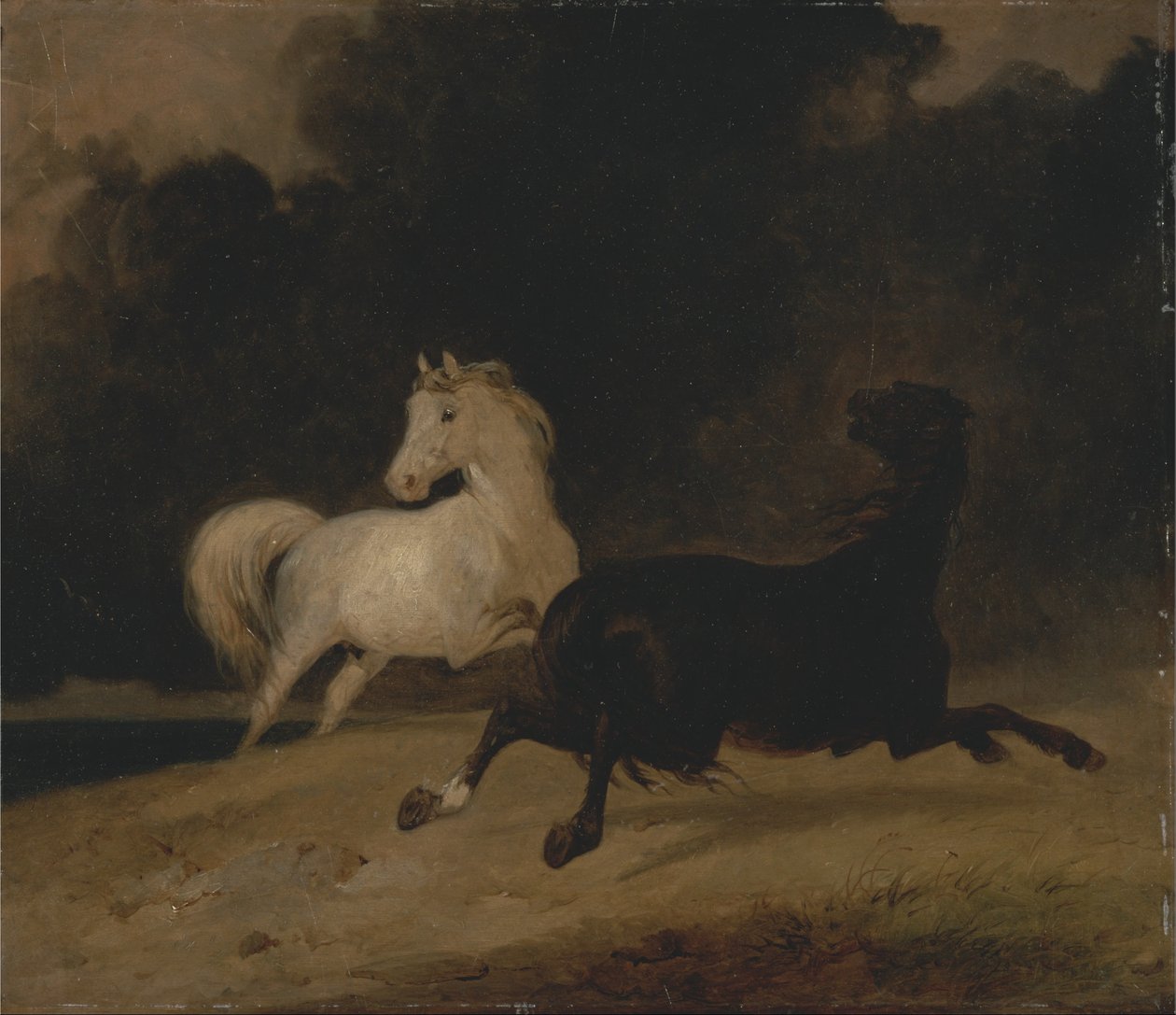 Horses in a Thunderstorm av Thomas Woodward