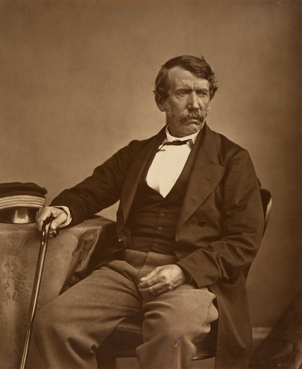 David Livingstone av Thomas Annan - Original av Thomas Annan